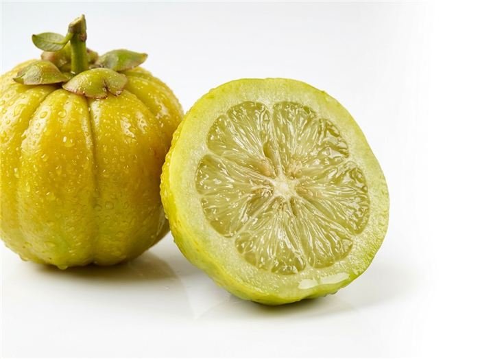 Garcinia cambogia -hedelmä, jota käytetään Hinuki-hyytelötikuissa